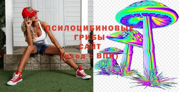 бошки Богородицк