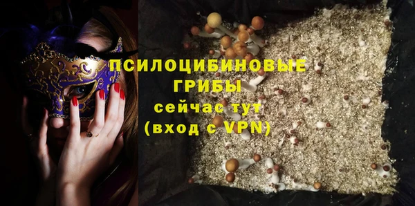 ГАЛЛЮЦИНОГЕННЫЕ ГРИБЫ Богородск