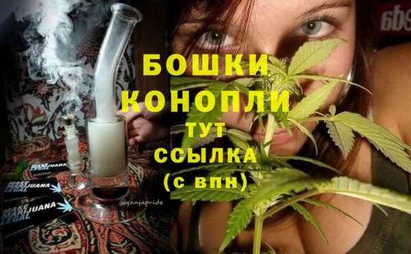 ГАЛЛЮЦИНОГЕННЫЕ ГРИБЫ Богородск