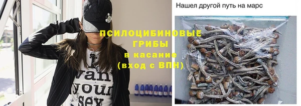 бошки Богородицк